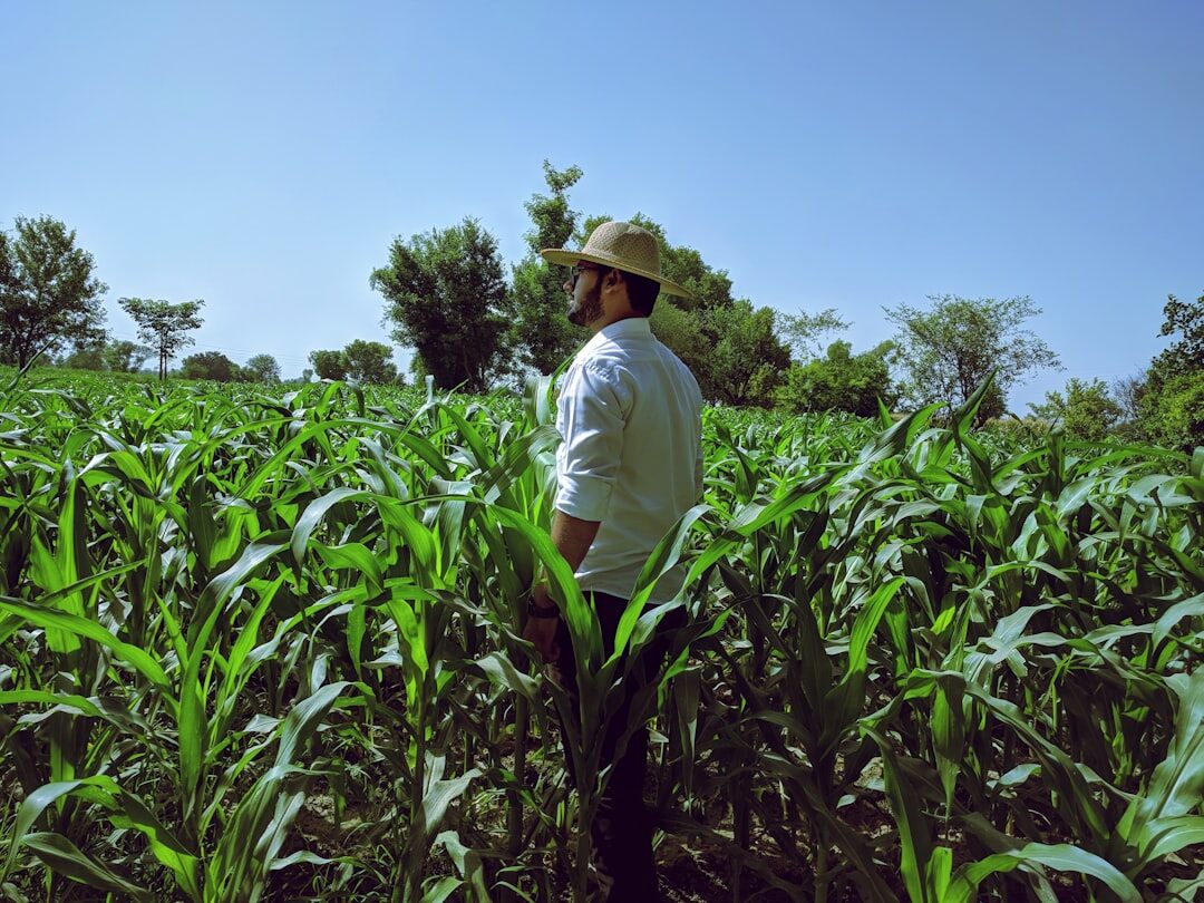farmer in field