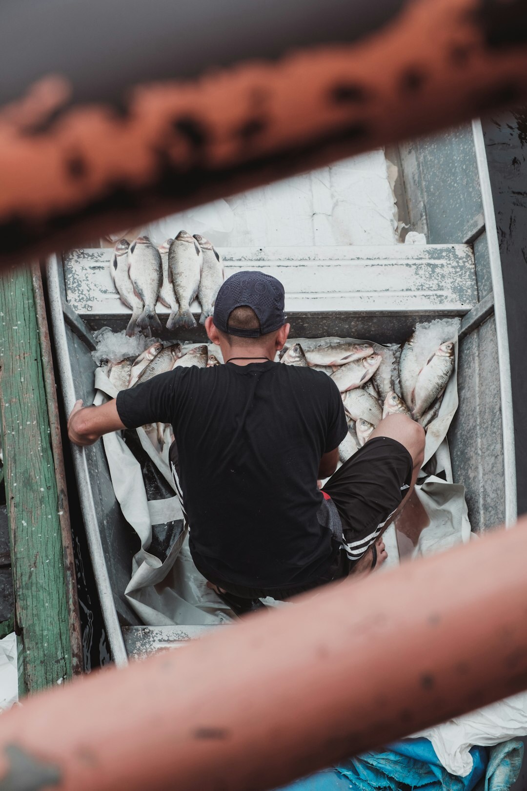 fisherman on boat