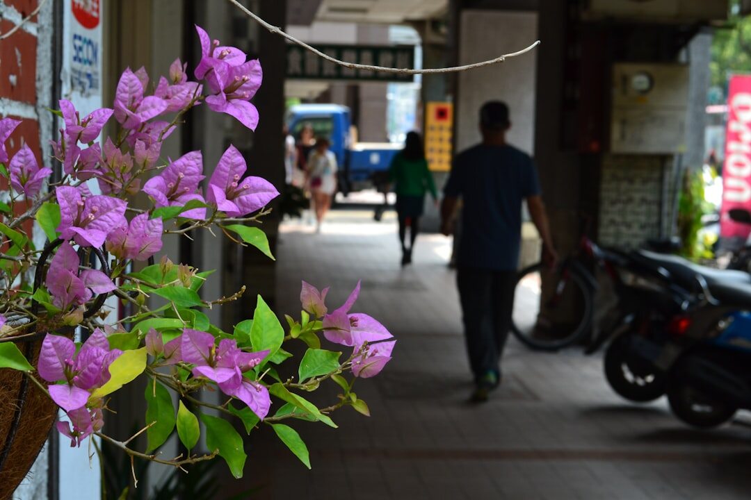 street corner with locals chatting